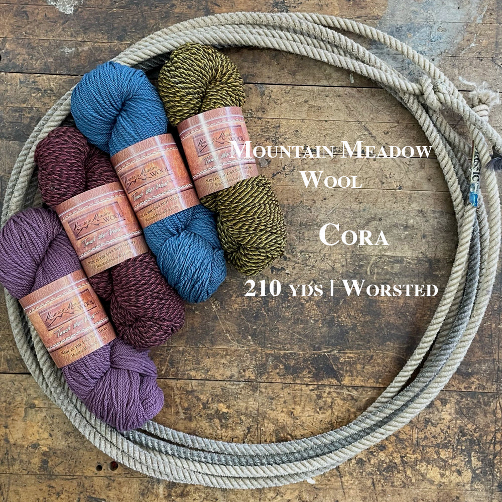 Four colorful hanks of the Mountain Meadow Wool Cora collection of yarn.