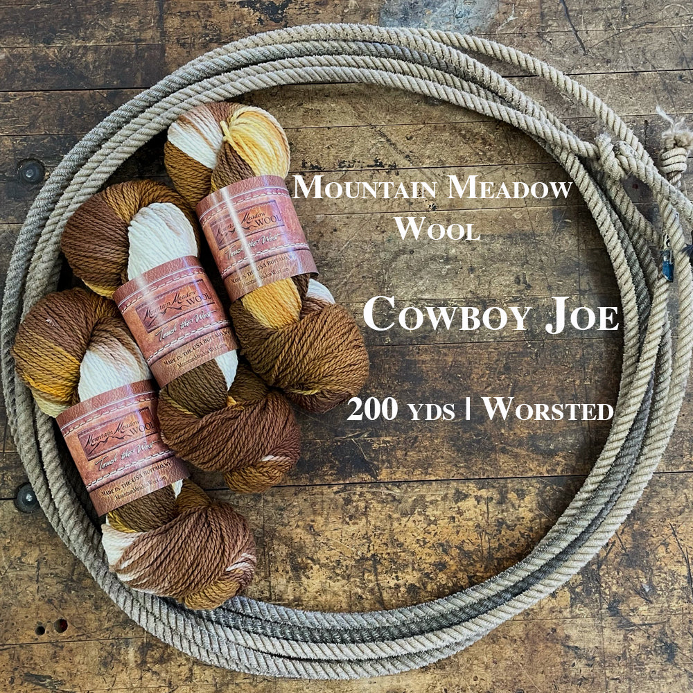 Three hanks of the brown, white and gold colorway known as Cowboy Joe from Mountain Meadow Wool