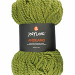  Skein of Jody Long Andeamo Yarn - 005 Evergreen
