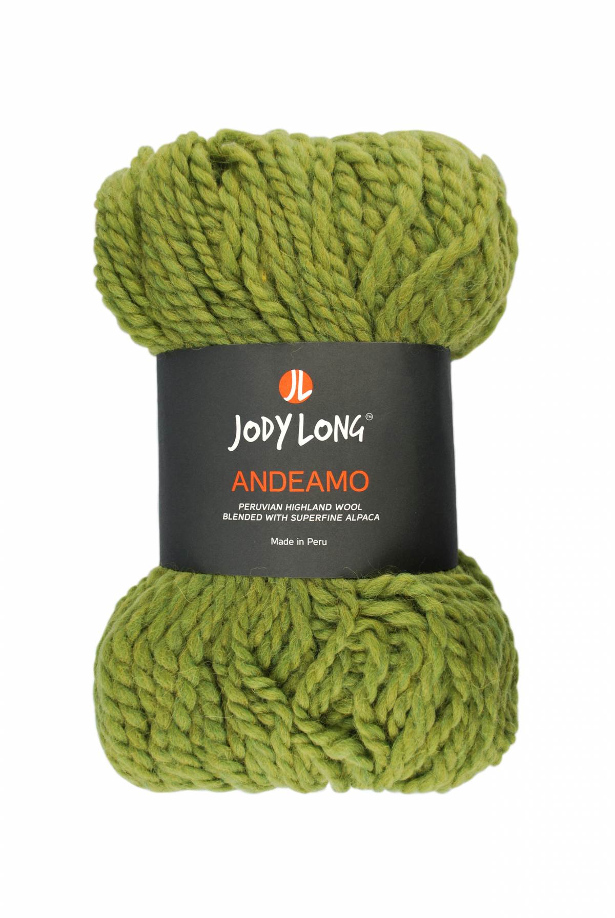  Skein of Jody Long Andeamo Yarn - 005 Evergreen