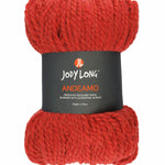  Skein of Jody Long Andeamo Yarn -  008 Fire