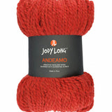  Skein of Jody Long Andeamo Yarn -  008 Fire