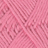 Coastal Cotton 1019 Cotton Yarn