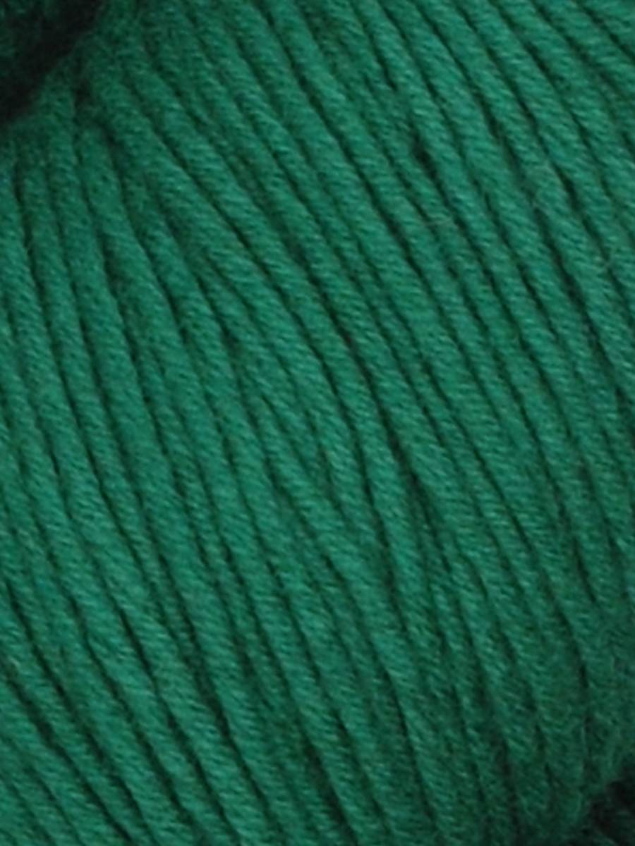 Close up photo of the Jody Long Summer Delight dark green colored yarn