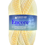 A yellow mix of Plymouth Encore Colorspun yarn