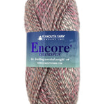 A pink mix of Plymouth Encore Colorspun yarn
