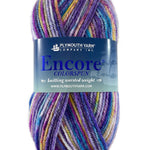 A purple and yellow skein of Plymouth Encore Colorspun yarn