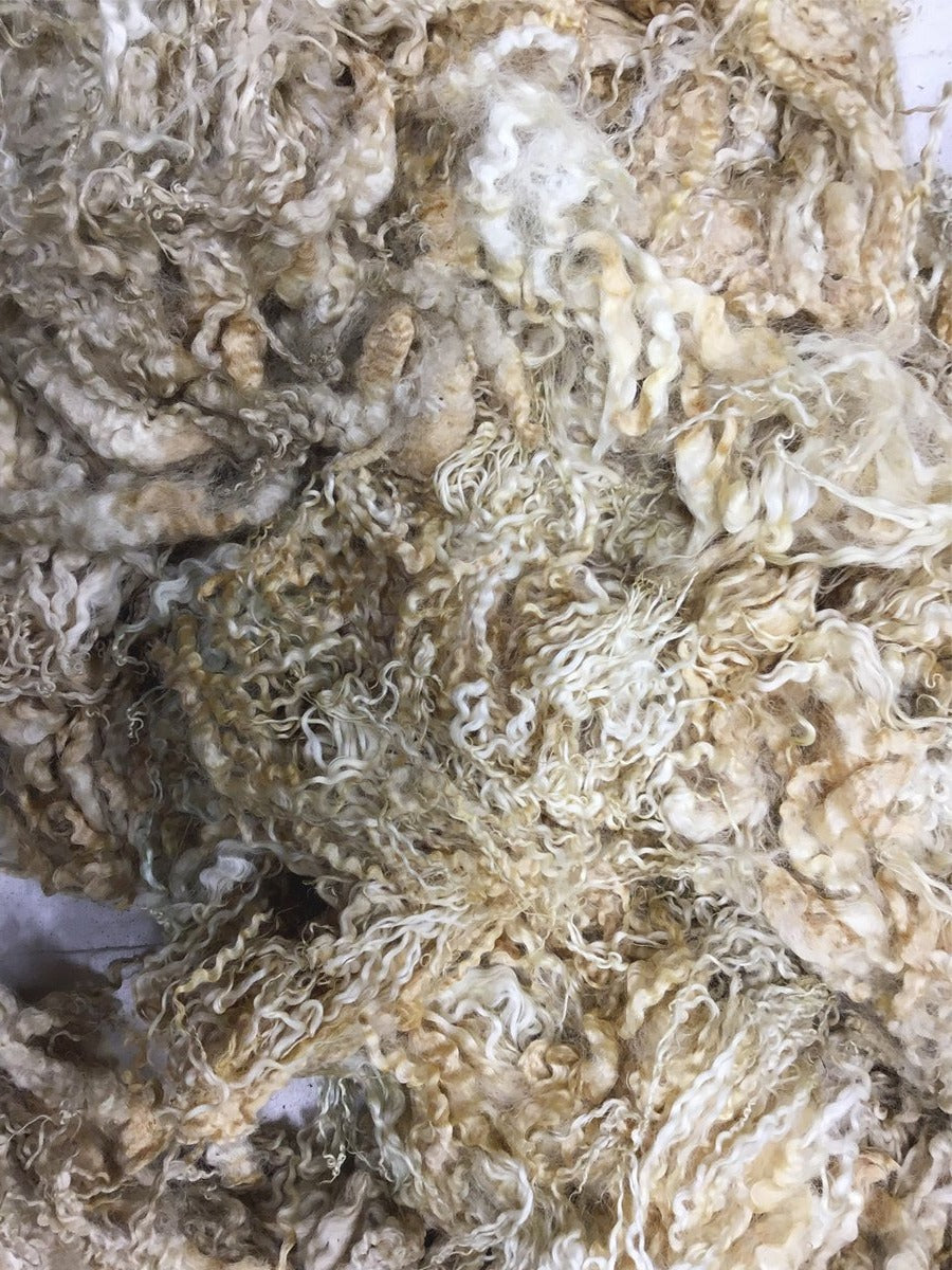 Cotswold White Raw Fleece