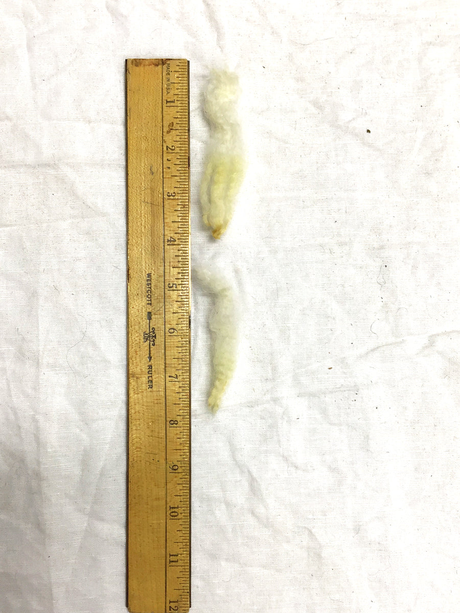 Gulf Coast Native Scoured Fleece