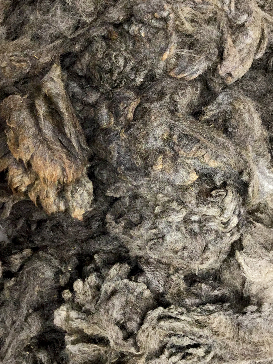 Corriedale Lincoln Fleece