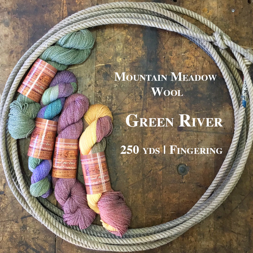 Four colorful hanks of the Green River collection from Mountain Meadow Wool inside a lasso on a wooden back drop