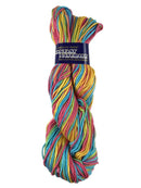 A colorful skein of Plymouth Fantasy Naturale yarn