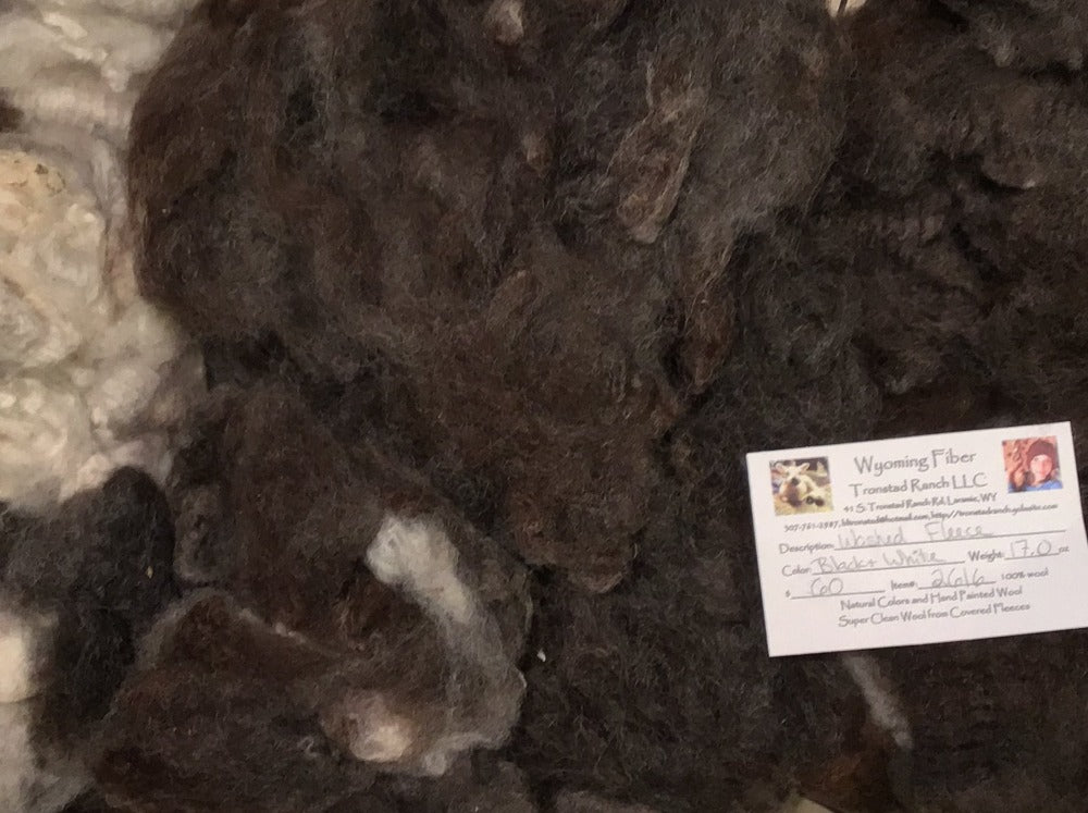 Tronstad Ranch Black & White Fleece from Ewe #118 Panda 17 Ounces