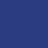 Jacquard Procion MX 2/3 oz-18.71 gram