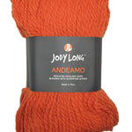 Skein of Jody Long Andeamo Yarn - 012 Pumkin