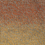 A purple mix of Plymouth Encore Colorspun yarn