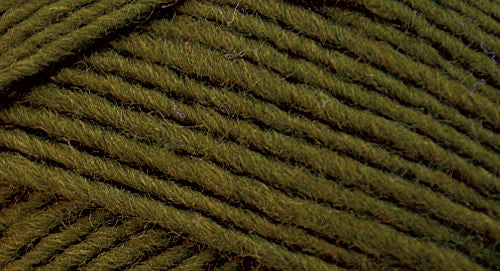 Brown Sheep Co. Lanaloft Bulky Yarn color Garland