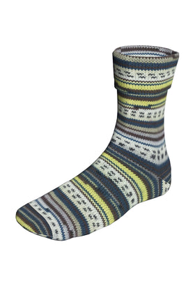 Lang Yarns Super Soxx yarn color Demeter