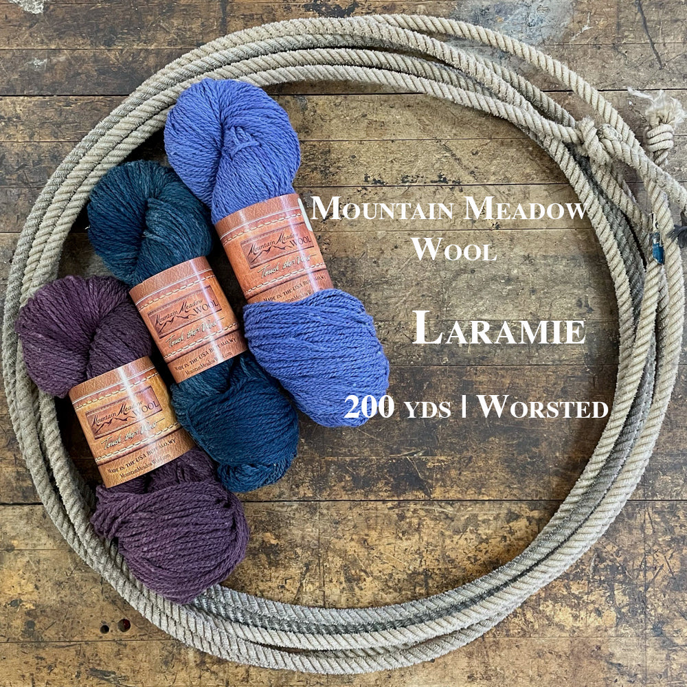 Three colorful hanks of Mountain Meadow Wool Laramie collection in a lasso lying on a wooden surface