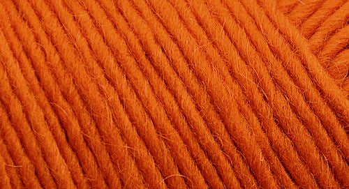 Brown Sheep Co. Lamb's Pride Yarn color Orange You Glad