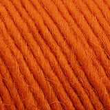 Brown Sheep Co. Lamb's Pride Yarn color Orange You Glad