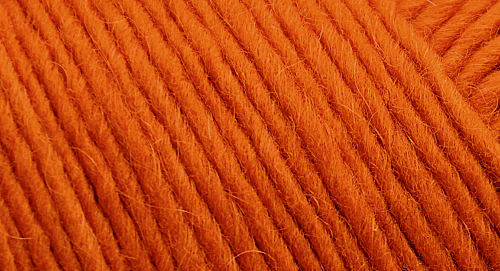 Brown Sheep Co. Lamb's Pride Yarn color Orange You Glad