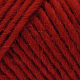 Brown Sheep Co. Lamb's Pride Yarn color Spice