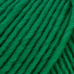 Brown Sheep Co. Lamb's Pride Yarn color Emerald Green