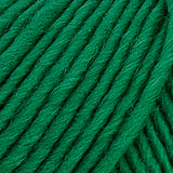 Brown Sheep Co. Lamb's Pride Yarn color Emerald Green