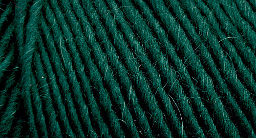 Brown Sheep Co. Lamb's Pride Yarn color Christmas Green