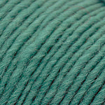 Brown Sheep Co. Lamb's Pride Yarn color Seafoam