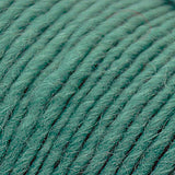 Brown Sheep Co. Lamb's Pride Yarn color Seafoam