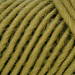 Brown Sheep Co. Lamb's Pride Yarn color Fresh Moss