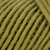 Brown Sheep Co. Lamb's Pride Yarn color Fresh Moss