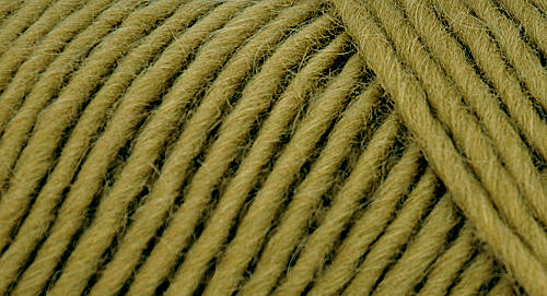 Brown Sheep Co. Lamb's Pride Yarn color Fresh Moss