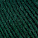 Brown Sheep Co. Lamb's Pride Yarn color Deep Pine