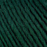 Brown Sheep Co. Lamb's Pride Yarn color Deep Pine