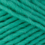 Brown Sheep Co. Lamb's Pride Yarn color Turquoise Depths