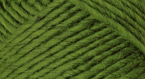 Brown Sheep Co. Lamb's Pride Yarn color Kiwi