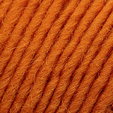 Brown Sheep Co. Lamb's Pride Yarn color Autumn Harvest