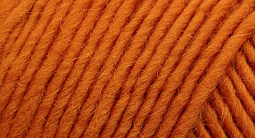 Brown Sheep Co. Lamb's Pride Yarn color Autumn Harvest