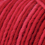 Brown Sheep Co. Lamb's Pride Yarn color Cranberry Swirl