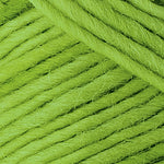 Brown Sheep Co. Lamb's Pride Yarn color Lime Sorbet
