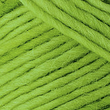 Brown Sheep Co. Lamb's Pride Yarn color Lime Sorbet