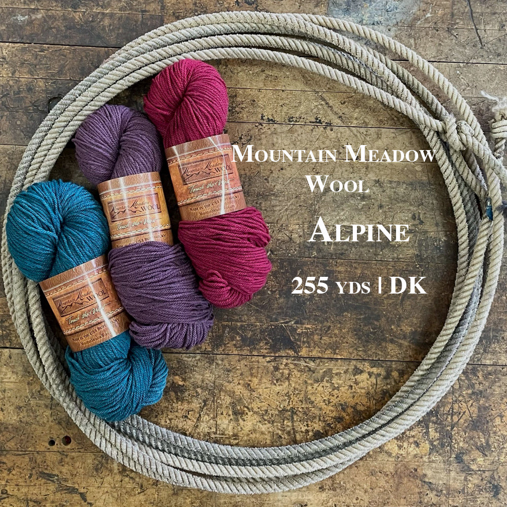 Three colorful hanks of the Mountain Meadow Wool Alpine collection inside a lasso laying on a wooden surface.