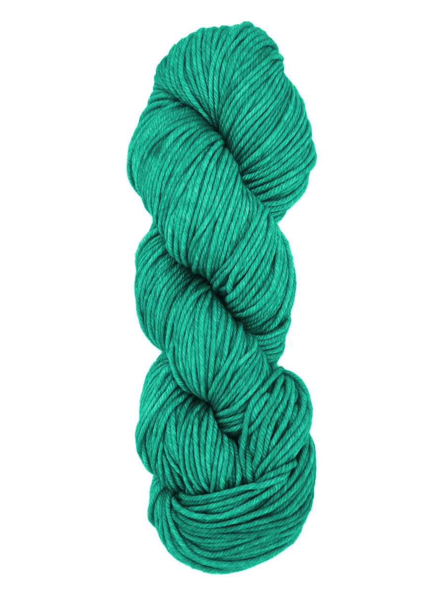 A colorful skein of light green Malabrigo Rios yarn