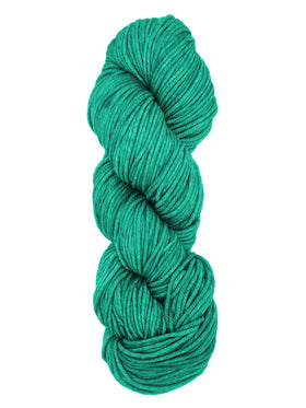 A colorful skein of light green Malabrigo Rios yarn