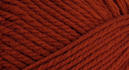 A close-up photo of a burnt orange sample of Nature Spun yarn
