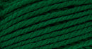 A close-up photo of a green sample of Nature Spun yarn