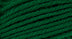 A close-up photo of a green sample of Nature Spun yarn
